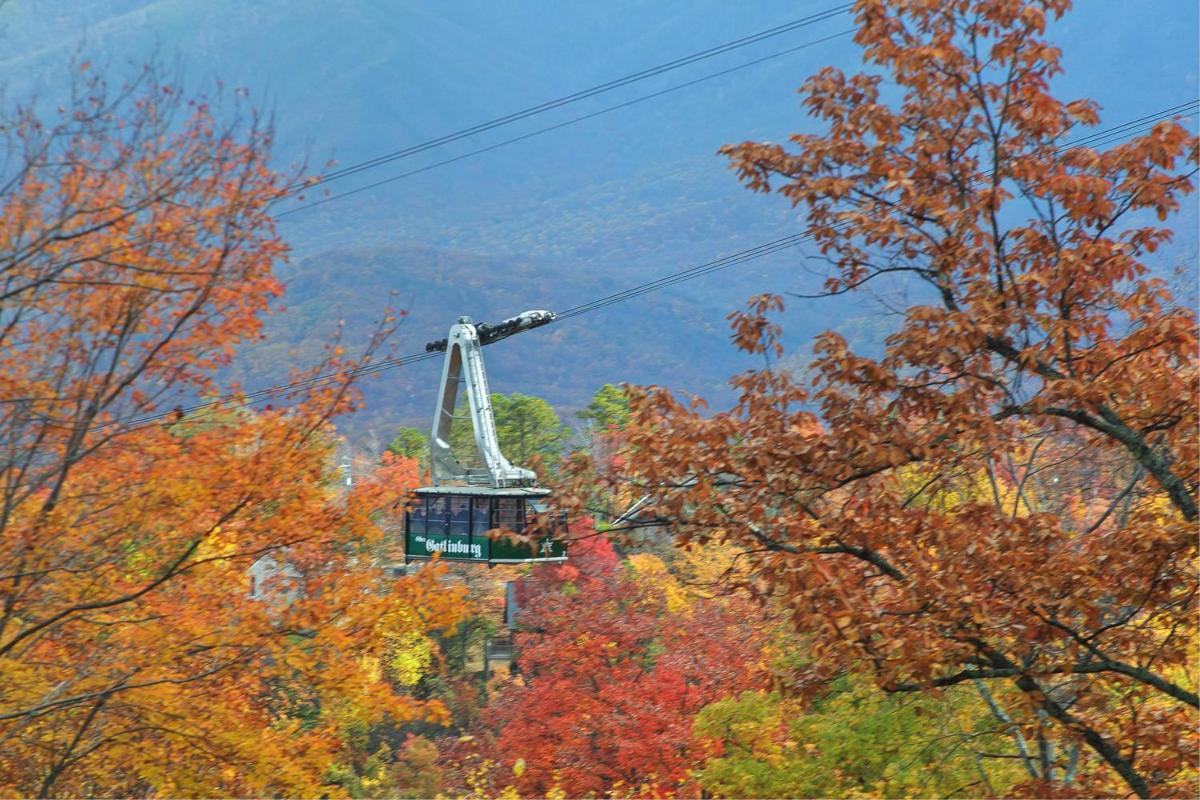 Ridgetop Retreat Сивиървил Екстериор снимка